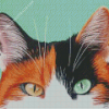 Close Up Black And Ginger Cat Diamond Painting