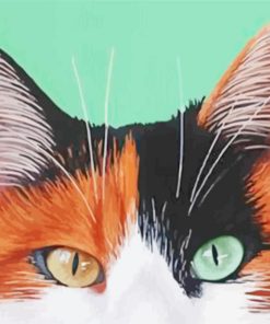 Close Up Black And Ginger Cat Diamond Painting