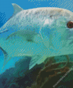 Giant Caranx Fish Diamond Painting
