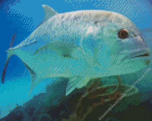 Giant Caranx Fish Diamond Painting