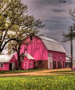 Pink Barn Building Diamond Painting