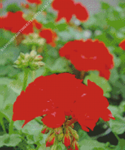Red Geranium Plant Diamond Painting