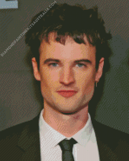 Tom Sturridge As Dream Endless Diamond Painting