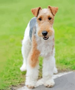 Wire Haired Fox Terrier Dog Diamond Painting