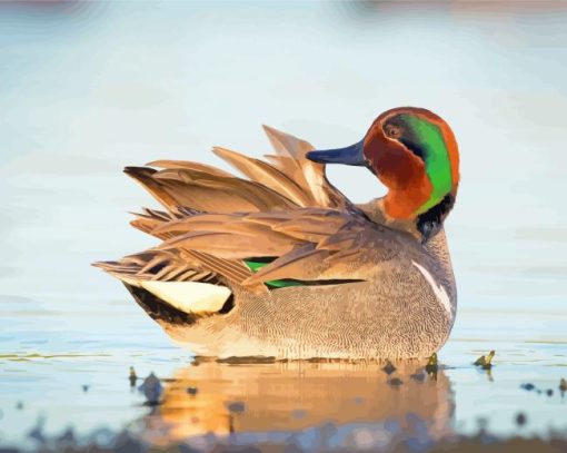 Green Winged Teal Swimming Diamond Painting