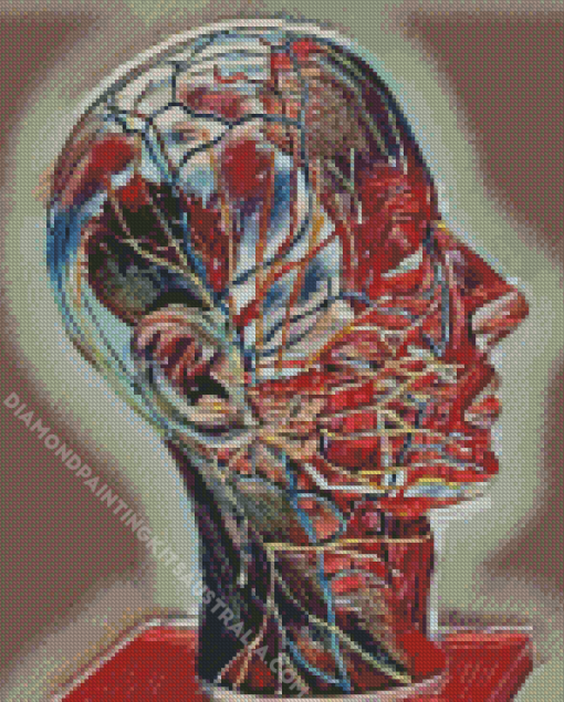 Human Head Anatomy Abstract Artwork Diamond Painting