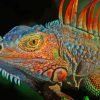 Rainbow Iguana Diamond Painting