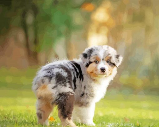 Australian Shepherd Diamond Painting