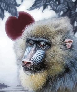 Baboon Primate Diamond Painting