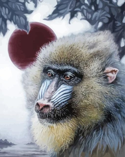 Baboon Primate Diamond Painting