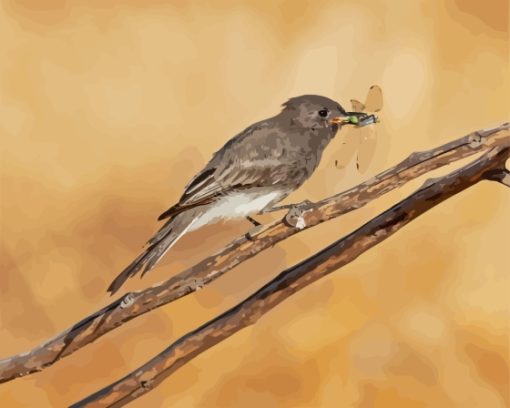 Black Phoebe With Insect Diamond Painting