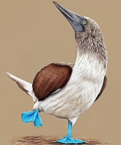 Blue Footed Booby Illustration Diamond Painting