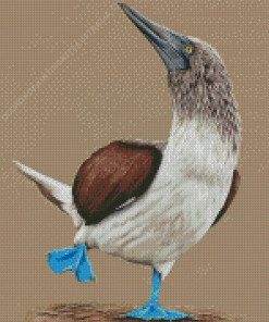 Blue Footed Booby Illustration Diamond Painting