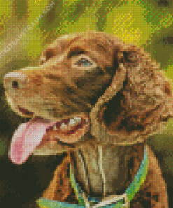 Boykin Spaniel Puppy Diamond Painting
