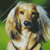 Cute Long Haired Dachshund Diamond Painting