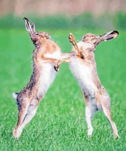 Fighting Hares Diamond Painting