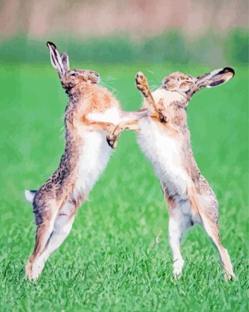 Fighting Hares Diamond Painting