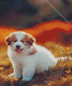 Great Pyrenees Puppy Diamond Painting