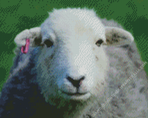 Herdwick Sheep Face Diamond Painting