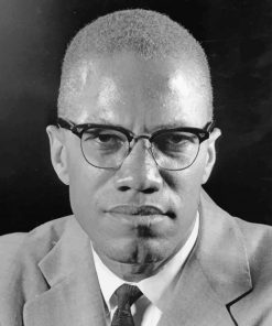 Malcolm X Portrait Diamond Painting