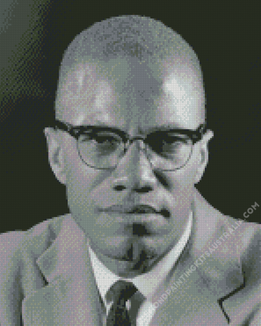 Malcolm X Portrait Diamond Painting