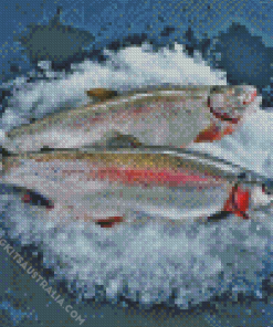 Steelhead Fishes Diamond Painting