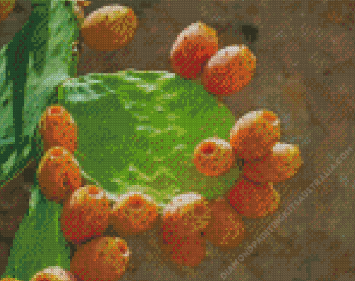 Succulent Dessert Fruits Diamond Painting