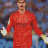 Thibaut Courtois Diamond Painting