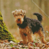 Welsh Terrier Dog Diamond Painting