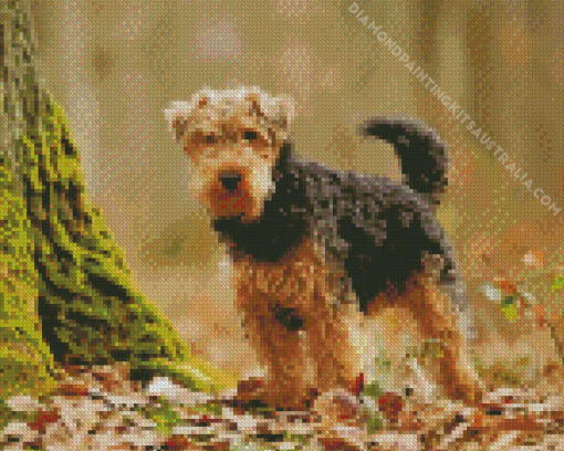 Welsh Terrier Dog Diamond Painting