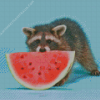 Baby Raccoon Eating Watermelon Diamond Painting