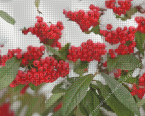 Berries In Winter Diamond Painting