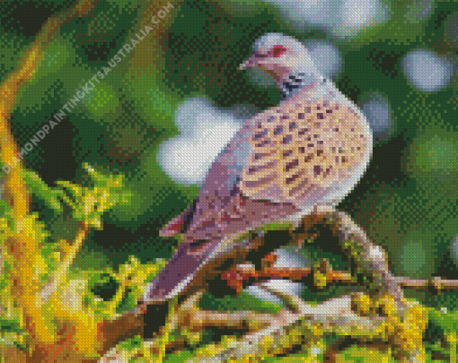 Bird Turtle Dove Diamond Painting