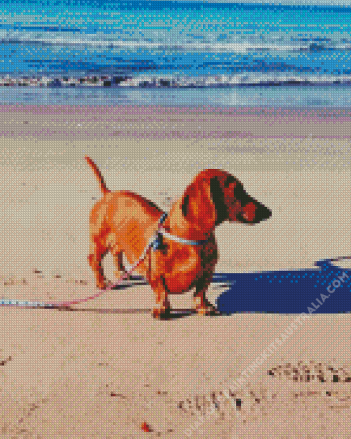 Brown Dachshund On The Beach Diamond Painting