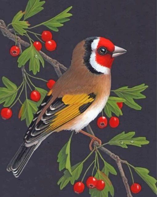 Bullfinch Illustration Diamond Painting