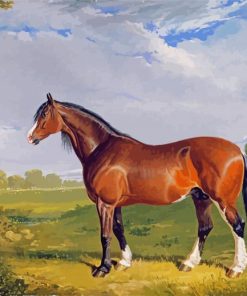 Clydesdale Stallion Diamond Painting
