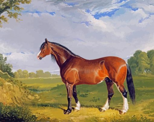Clydesdale Stallion Diamond Painting
