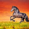 Friesian Horse With Red Sky Diamond Painting