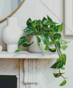Ivy Plant In Pot Diamond Painting