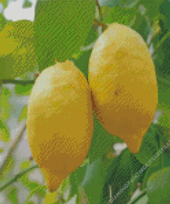 Lemon Fruit Tree Diamond Painting
