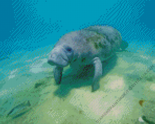 Manatee Animal Underwater Diamond Painting