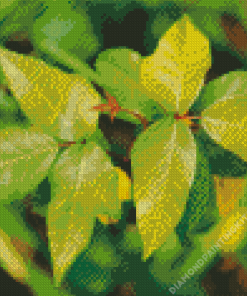Poison Ivy Leaves Diamond Painting