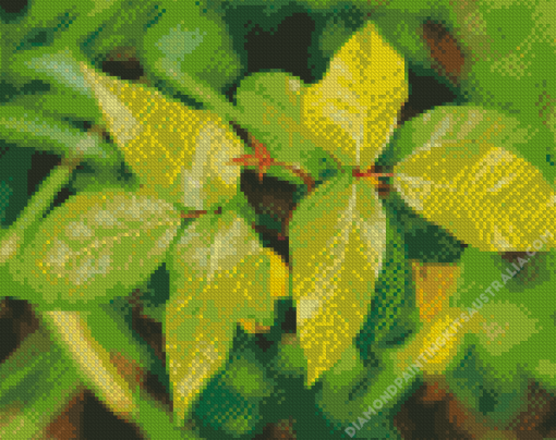 Poison Ivy Leaves Diamond Painting