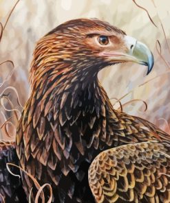 Wedge Tailed Eagle Bird Diamond Painting