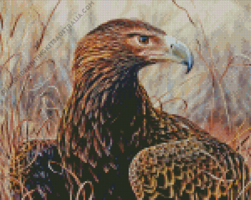 Wedge Tailed Eagle Bird Diamond Painting