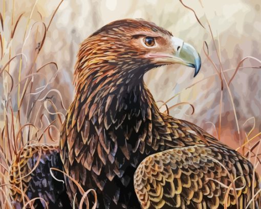 Wedge Tailed Eagle Bird Diamond Painting