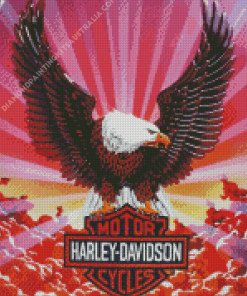 Flying Eagle With Harley Davidson Diamond Painting