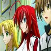 High School DxD Diamond Painting