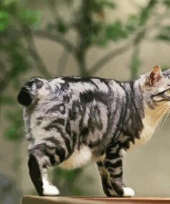 Japanese Bobtail Cat Diamond Painting