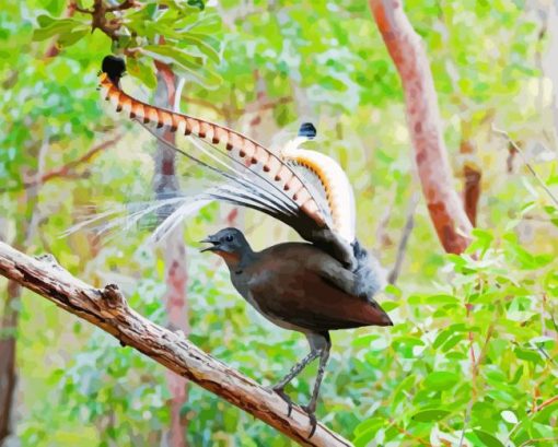 Lyrebird On Tree Branch Diamond Painting